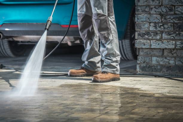 Best Sidewalk and Walkway Cleaning  in Springville, NY