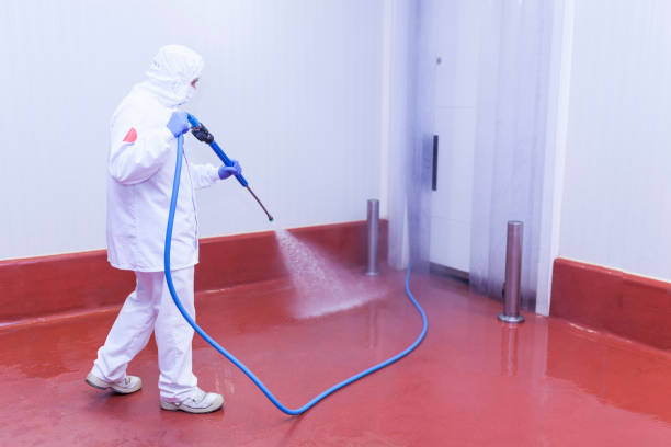  Springville, NY Pressure Washing Pros