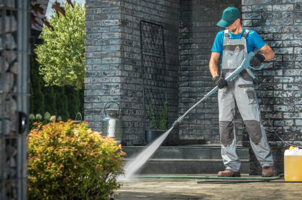 Best Driveway Pressure Washing  in Springville, NY