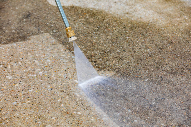 Best Dumpster Area Cleaning  in Springville, NY