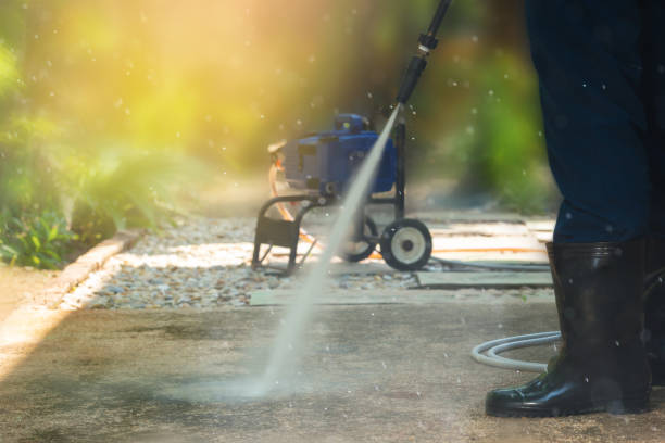 Best Roof Washing  in Springville, NY